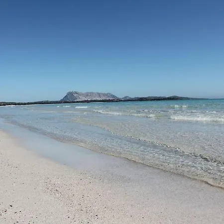 度假居 Appartamenti A 250 M Dalla Spiaggia By Budoniaffitti *